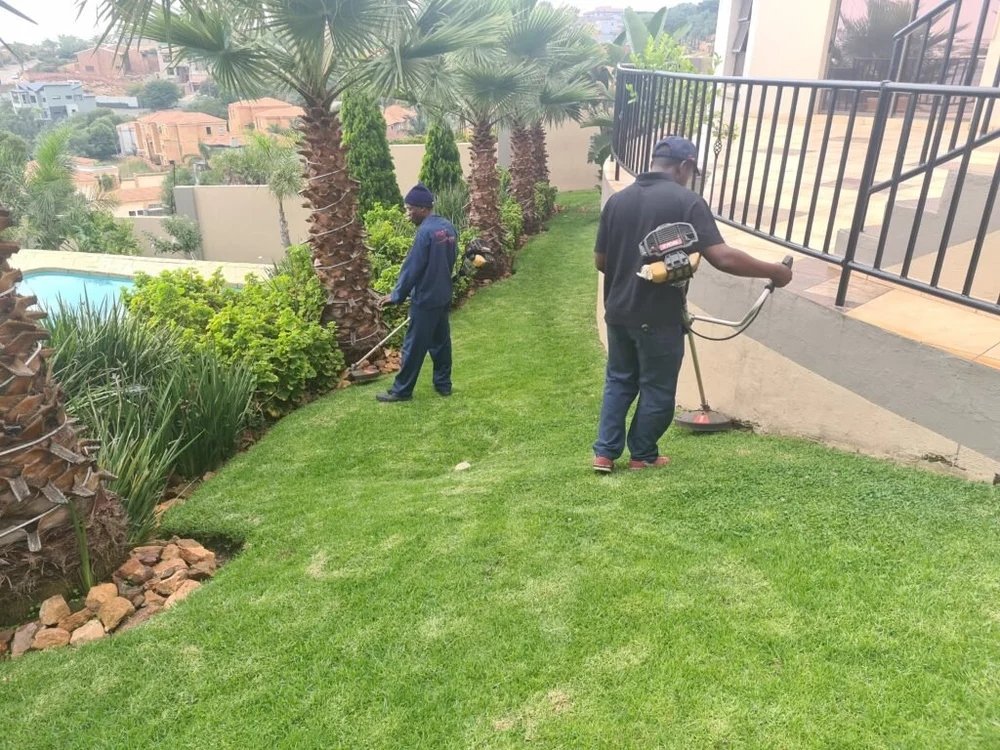 Garden Cleaning